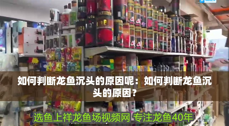 如何判斷龍魚沉頭的原因呢：如何判斷龍魚沉頭的原因？