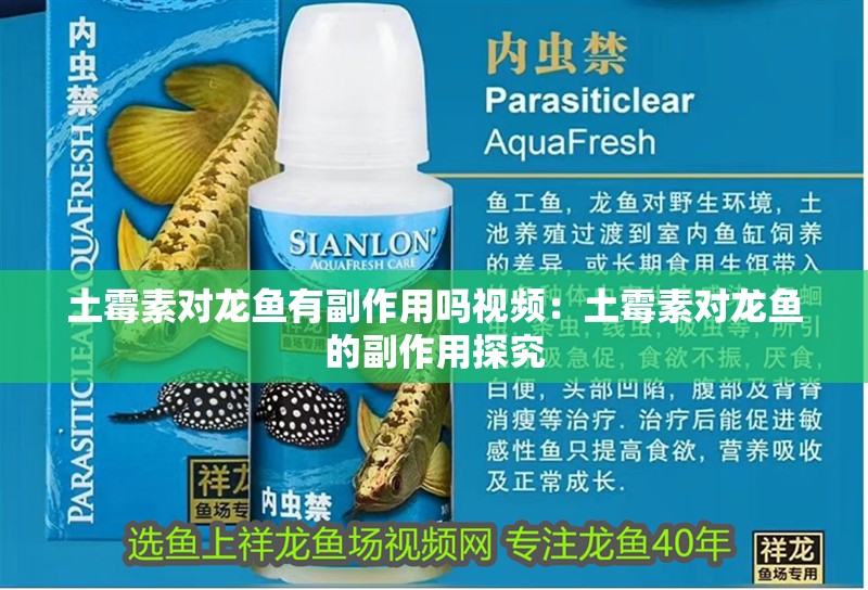 土霉素對龍魚有副作用嗎視頻：土霉素對龍魚的副作用探究
