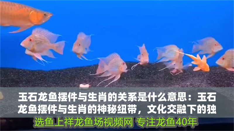 玉石龍魚擺件與生肖的關系是什么意思：玉石龍魚擺件與生肖的神秘紐帶，文化交融下的獨特象征
