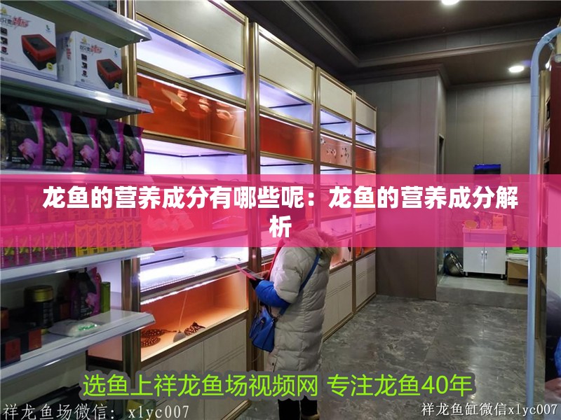 龍魚的營養成分有哪些呢：龍魚的營養成分解析