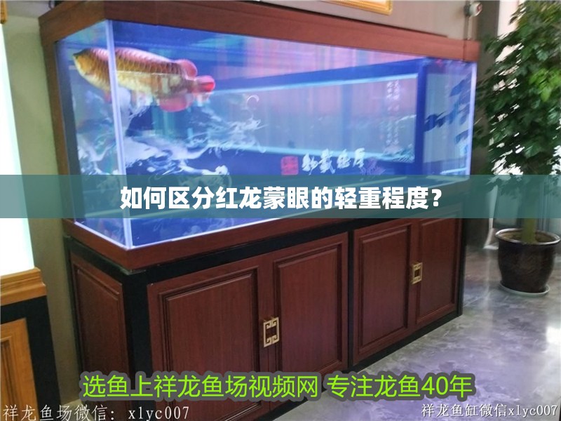 如何區分紅龍蒙眼的輕重程度？