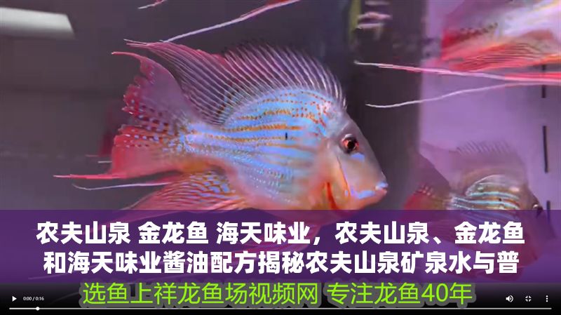 農(nóng)夫山泉 金龍魚 海天味業(yè)，農(nóng)夫山泉、金龍魚和海天味業(yè)醬油配方揭秘農(nóng)夫山泉礦泉水與普通水區(qū)別