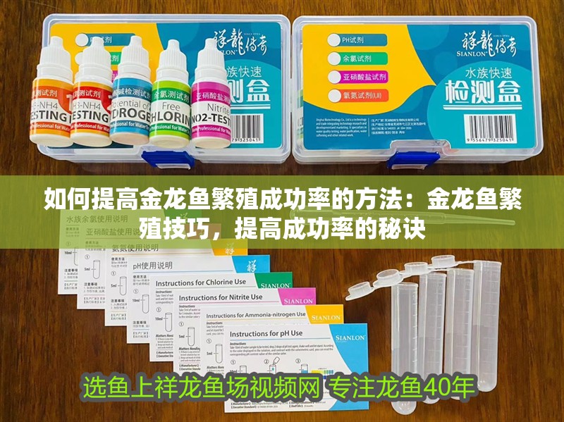 如何提高金龍魚繁殖成功率的方法：金龍魚繁殖技巧，提高成功率的秘訣