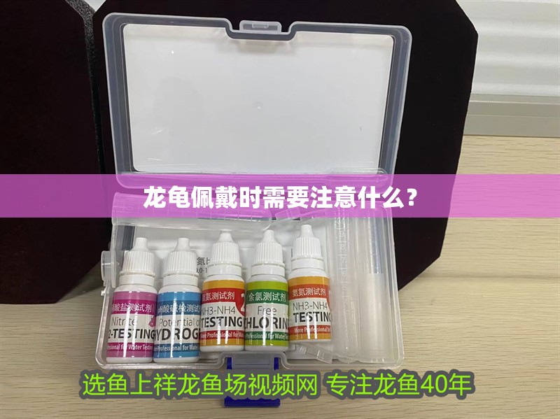 龍龜佩戴時需要注意什么？