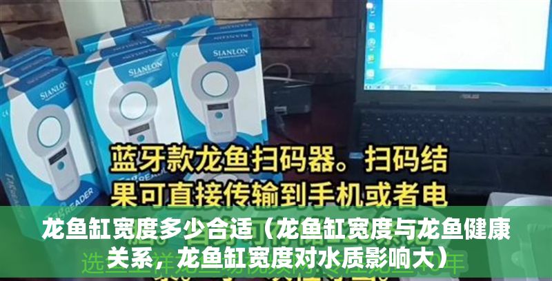 龍魚缸寬度多少合適（龍魚缸寬度與龍魚健康關(guān)系，龍魚缸寬度對水質(zhì)影響大）