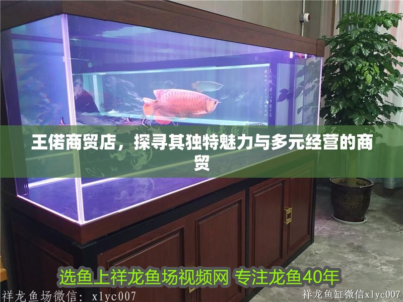 王偌商貿店，探尋其獨特魅力與多元經營的商貿