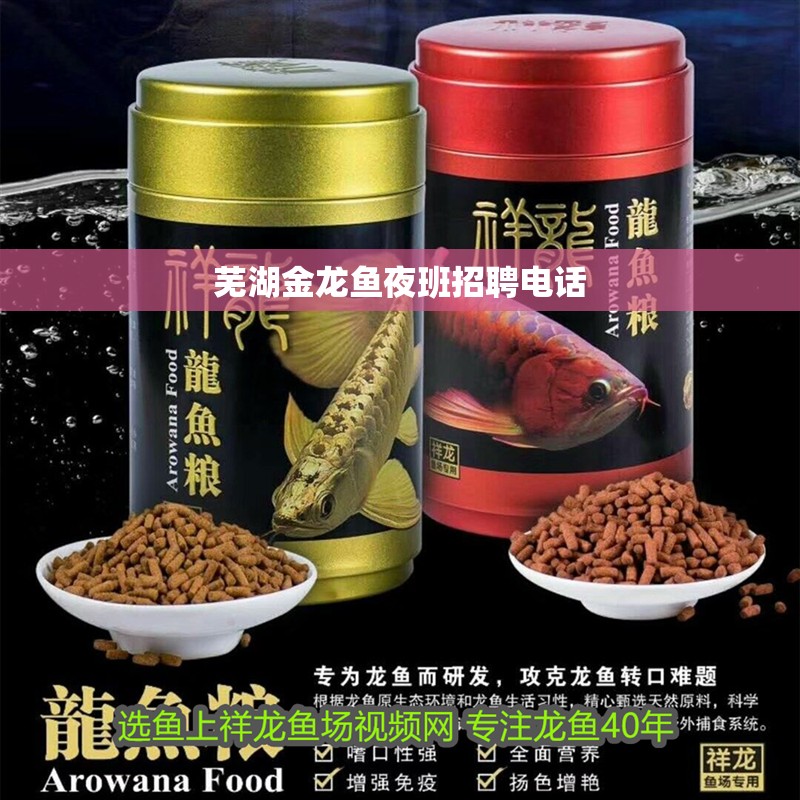蕪湖金龍魚夜班招聘電話