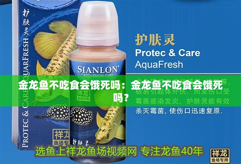 金龍魚不吃食會餓死嗎：金龍魚不吃食會餓死嗎？