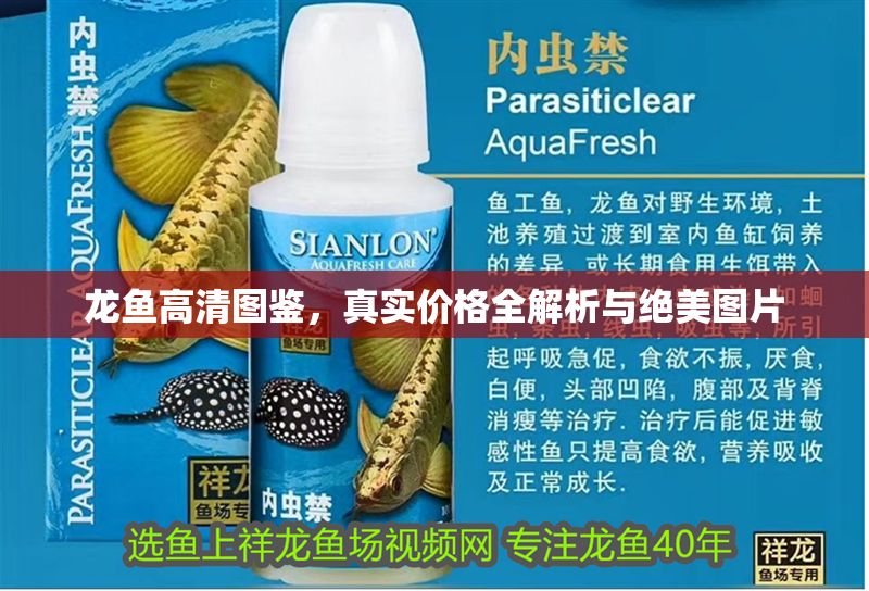 龍魚高清圖鑒，真實價格全解析與絕美圖片
