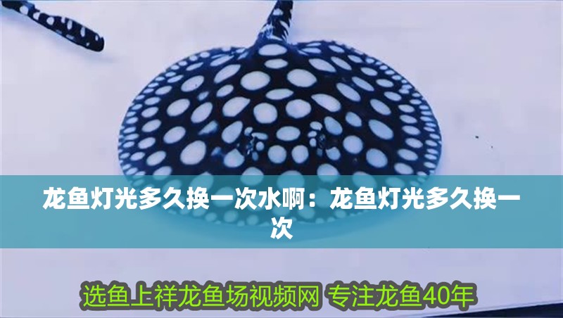 龍魚燈光多久換一次水啊：龍魚燈光多久換一次