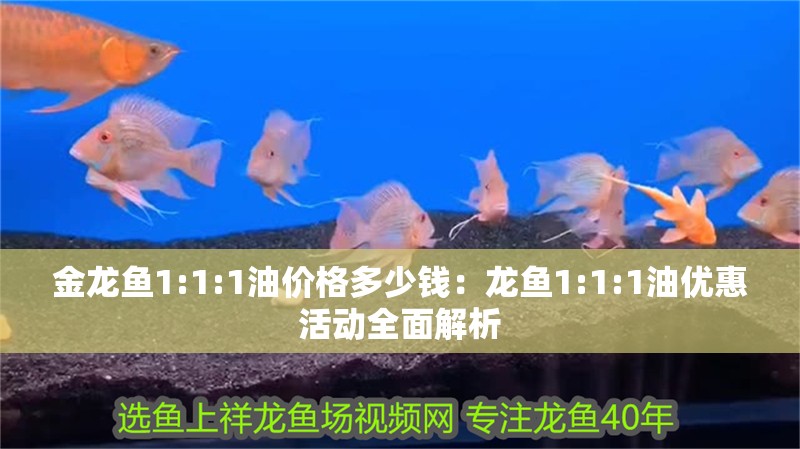 金龍魚1:1:1油價格多少錢：龍魚1:1:1油優(yōu)惠活動全面解析