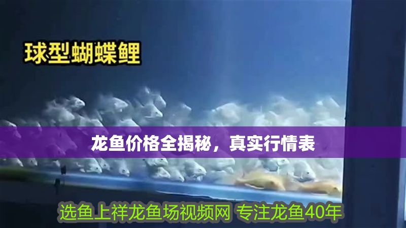 龍魚價格全揭秘，真實行情表