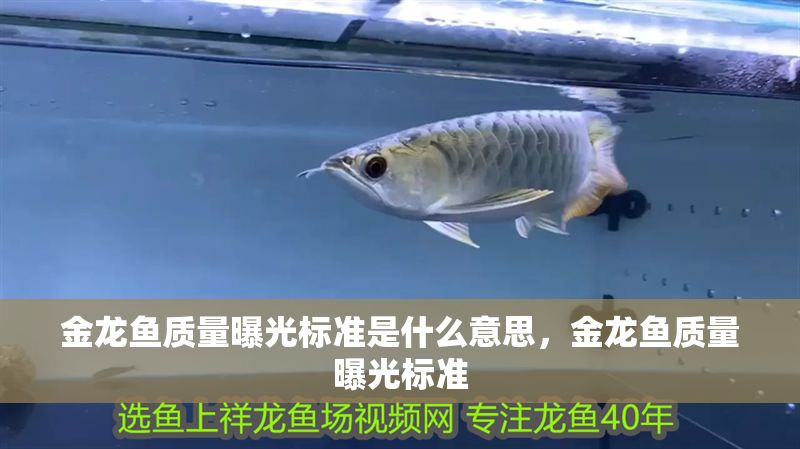 金龍魚質量曝光標準是什么意思，金龍魚質量曝光標準