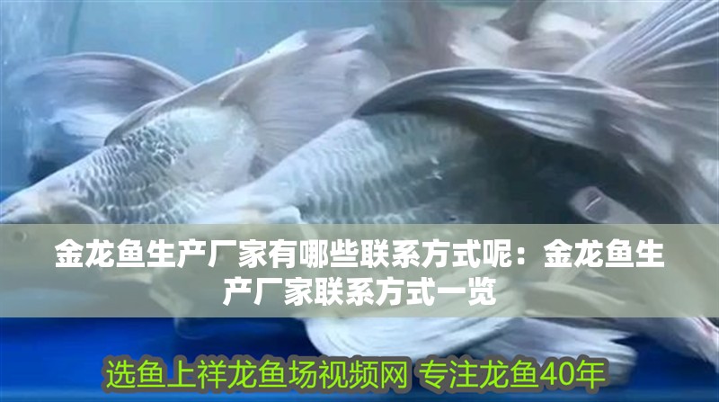 金龍魚生產廠家有哪些聯系方式呢：金龍魚生產廠家聯系方式一覽