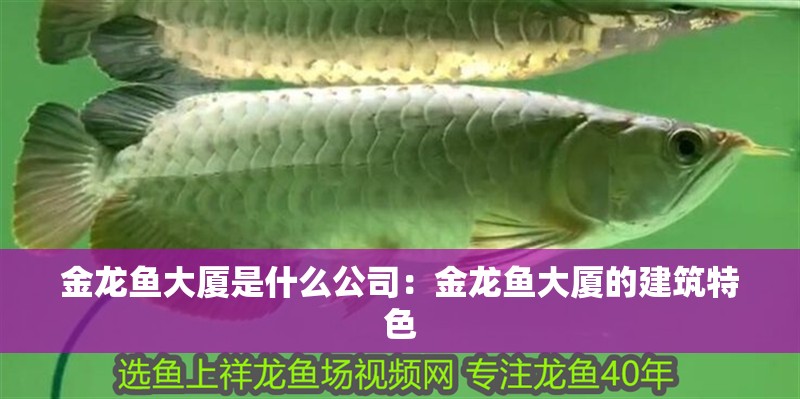 金龍魚大廈是什么公司：金龍魚大廈的建筑特色