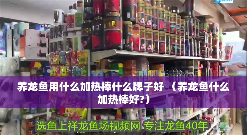 養(yǎng)龍魚用什么加熱棒什么牌子好 （養(yǎng)龍魚什么加熱棒好?） 養(yǎng)龍魚用什么加熱棒什么牌子好 （養(yǎng)龍魚什么加熱棒好?） 觀賞魚百科