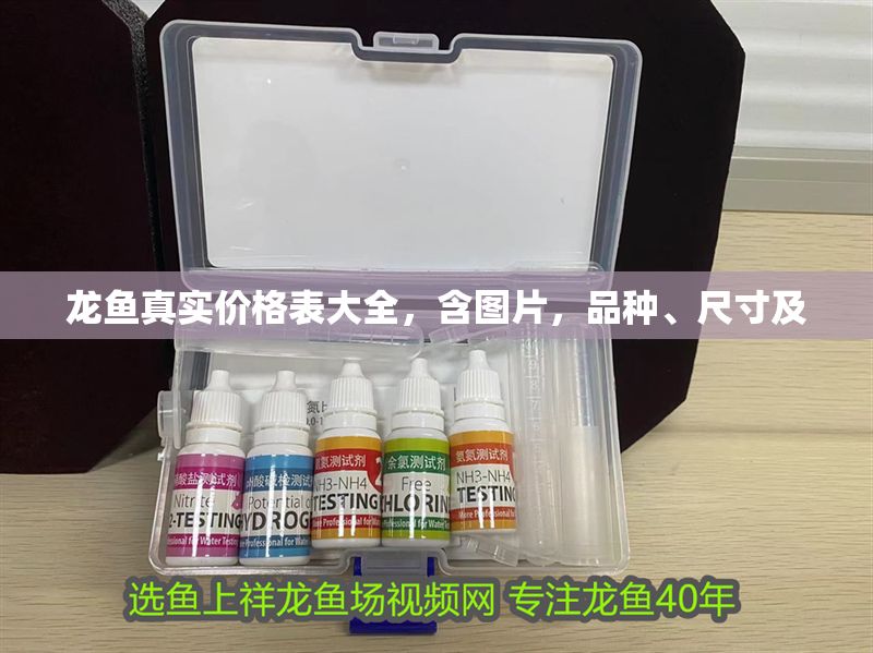 龍魚真實價格表大全，含圖片，品種、尺寸及