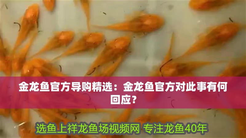 金龍魚(yú)官方導(dǎo)購(gòu)精選：金龍魚(yú)官方對(duì)此事有何回應(yīng)？