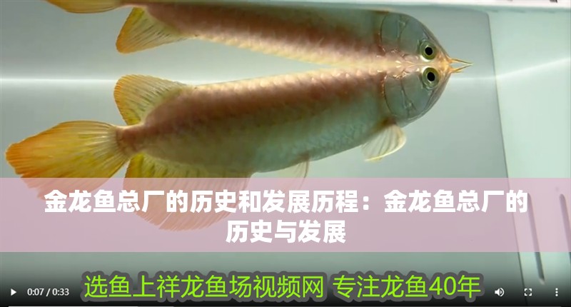 金龍魚總廠的歷史和發展歷程：金龍魚總廠的歷史與發展