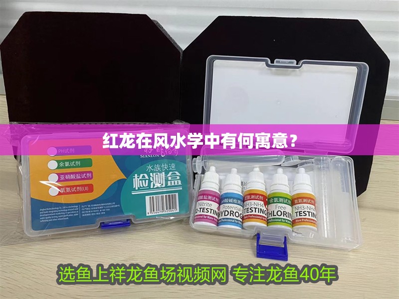 紅龍在風水學中有何寓意？