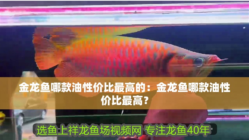 金龍魚哪款油性價比最高的：金龍魚哪款油性價比最高？