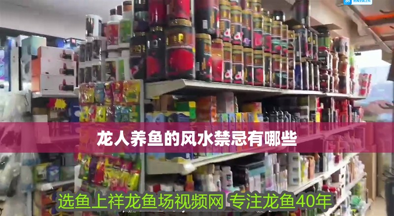 龍人養魚的風水禁忌有哪些