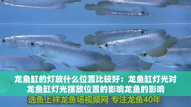 龍魚缸的燈放什么位置比較好：龍魚缸燈光對龍魚缸燈光擺放位置的影響龍魚的影響