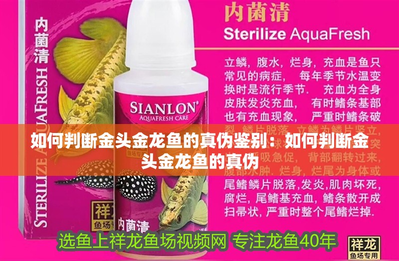 龍魚鱗片被腐蝕用什么藥，如何正確使用uv燈治療魚病