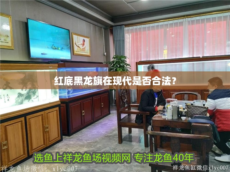 紅底黑龍旗在現代是否合法？