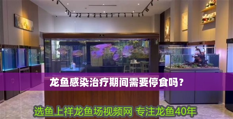 龍魚感染治療期間需要停食嗎？