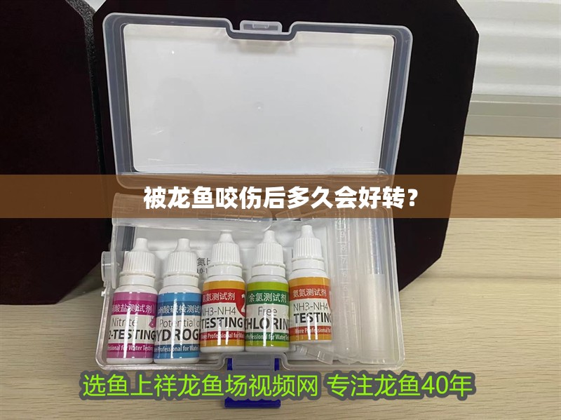 被龍魚咬傷后多久會好轉(zhuǎn)？