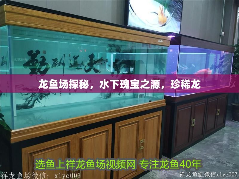 龍魚場(chǎng)探秘，水下瑰寶之源，珍稀龍