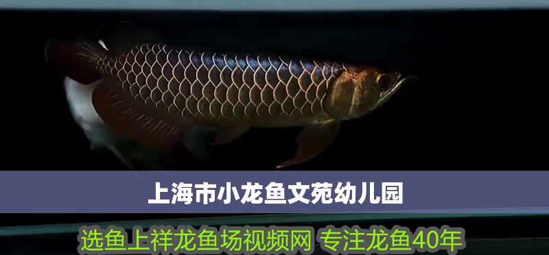 上海市小龍魚文苑幼兒園