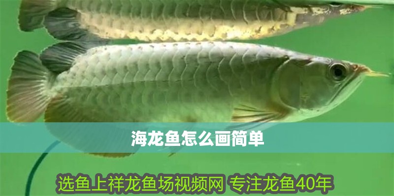 海龍魚怎么畫簡單