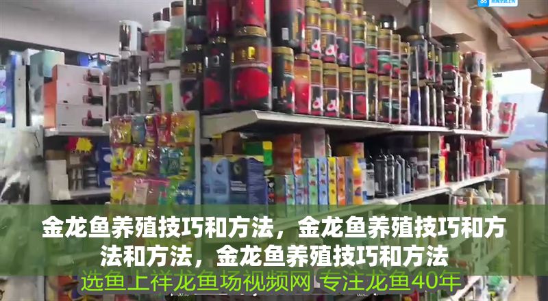 金龍魚養殖技巧和方法，金龍魚養殖技巧和方法和方法，金龍魚養殖技巧和方法