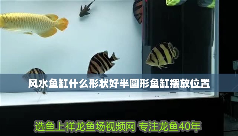 風水魚缸什么形狀好半圓形魚缸擺放位置