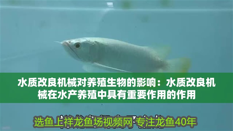 水質改良機械對養殖生物的影響：水質改良機械在水產養殖中具有重要作用的作用