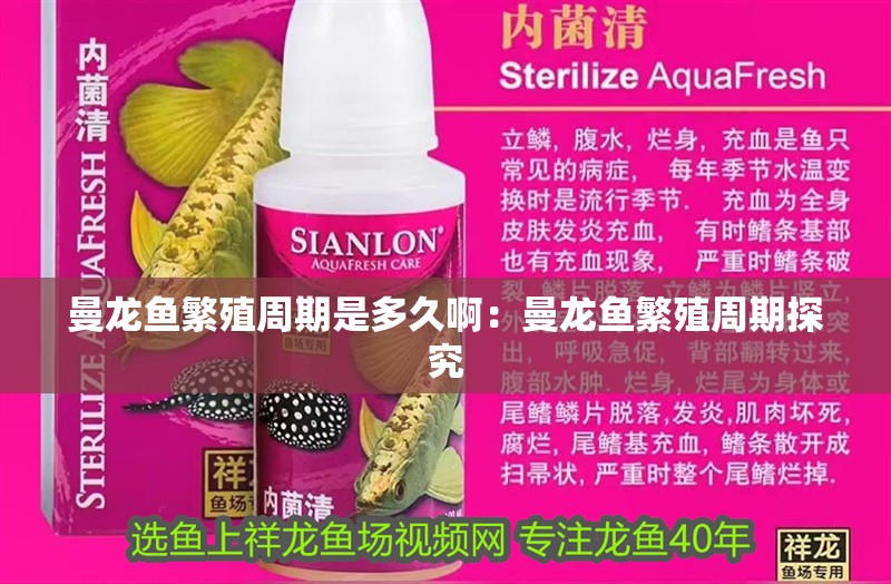 曼龍魚繁殖周期是多久啊：曼龍魚繁殖周期探究