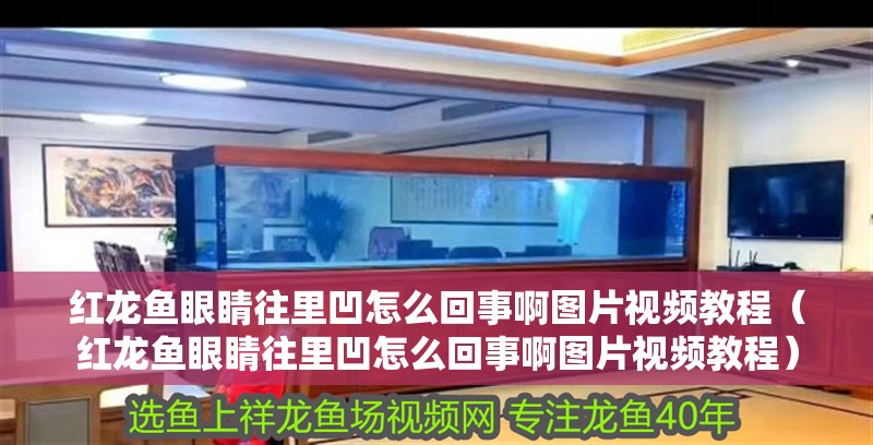 紅龍魚眼睛往里凹怎么回事啊圖片視頻教程（紅龍魚眼睛往里凹怎么回事啊圖片視頻教程）