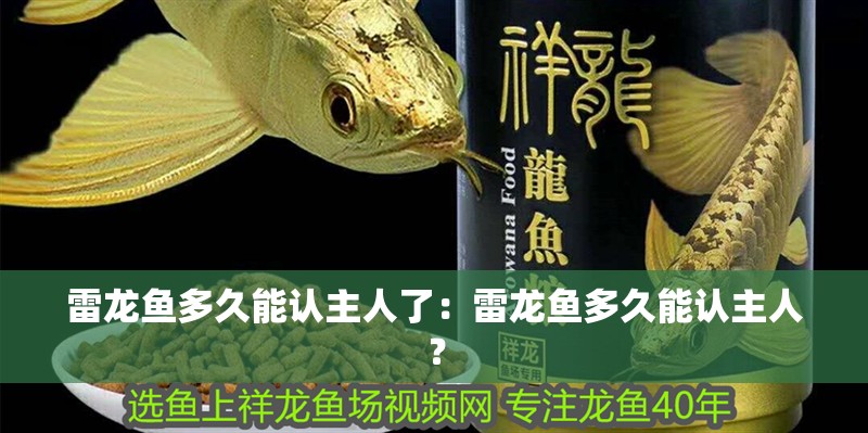 雷龍魚多久能認(rèn)主人了：雷龍魚多久能認(rèn)主人？