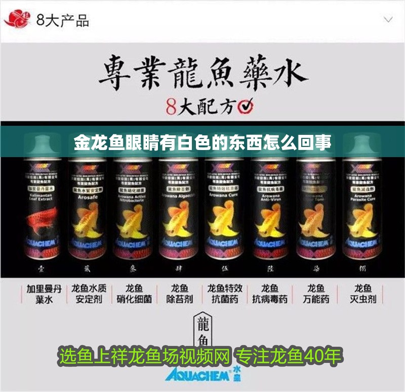 金龍魚眼睛有白色的東西怎么回事