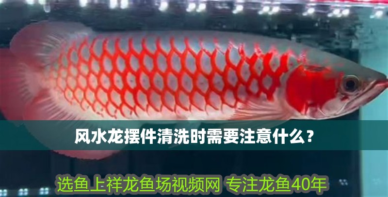 風水龍擺件清洗時需要注意什么？