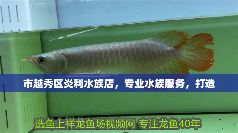 市越秀區(qū)炎利水族店，專業(yè)水族服務(wù)，打造