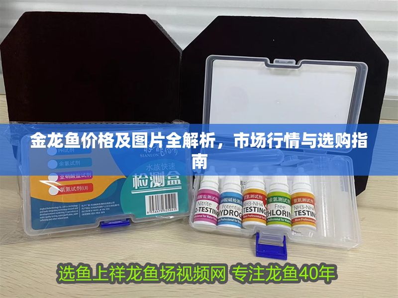 金龍魚價格及圖片全解析，市場行情與選購指南