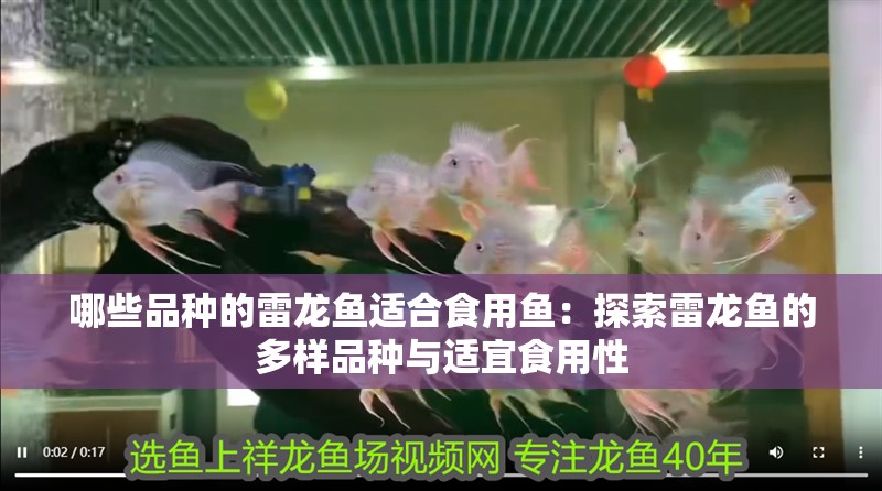 哪些品種的雷龍魚適合食用魚：探索雷龍魚的多樣品種與適宜食用性