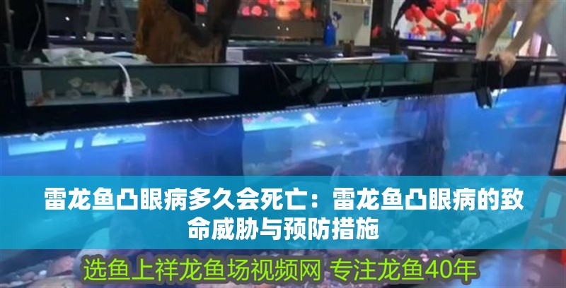 雷龍魚凸眼病多久會死亡：雷龍魚凸眼病的致命威脅與預防措施