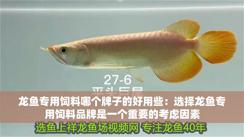 龍魚專用飼料哪個牌子的好用些：選擇龍魚專用飼料品牌是一個重要的考慮因素