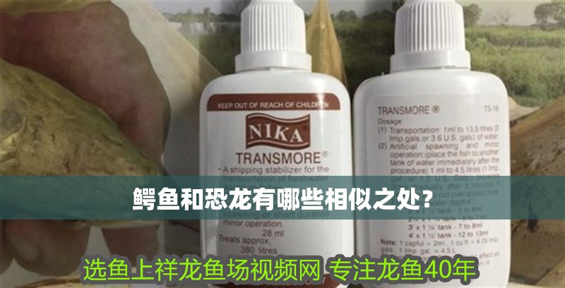 鱷魚和恐龍有哪些相似之處？