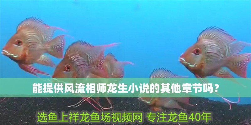 能提供風流相師龍生小說的其他章節嗎？