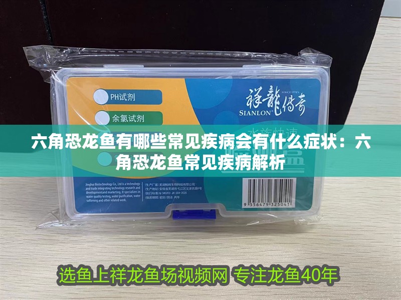 六角恐龍魚有哪些常見疾病會(huì)有什么癥狀：六角恐龍魚常見疾病解析